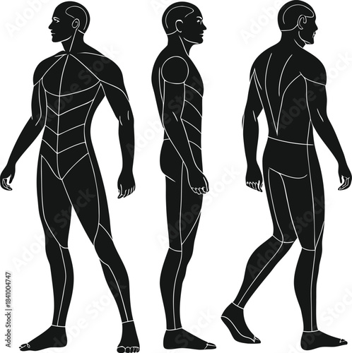 Male Figure Croquis Set - Anatomical Views