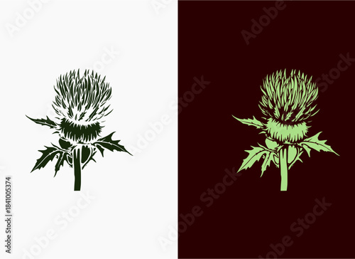 Scotland Highlands Thistle , silhouette of a Scotland highlands thistle bloom, spiky leaf details, clean organic lines, no background, minimalist style.