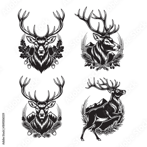 Majestic deer head and full body vector illustrations with large antlers and natural forest elements vintage style collection