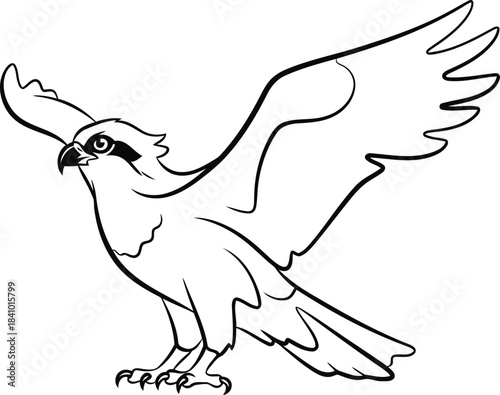 Black and white line drawing of a hawk with wings spread on a white background bird of prey