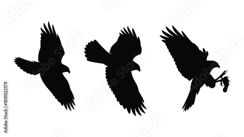 Three soaring eagle silhouettes in flight with one carrying prey