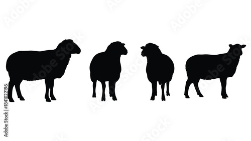 Four sheep silhouettes standing in a row against a plain white background