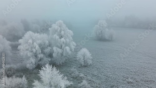 Ethereal winter landscape aerial drone view of frosted trees and grass covered in thick fog creating a serene and tranquil atmosphere perfect for nature documentaries and seasonal promotions
