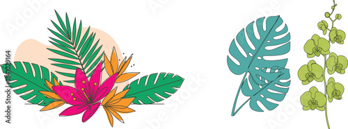 Colorful vector set of floral elements with leaves, flowers, and butterflies for nature spring or summer design, illustration, and decoration