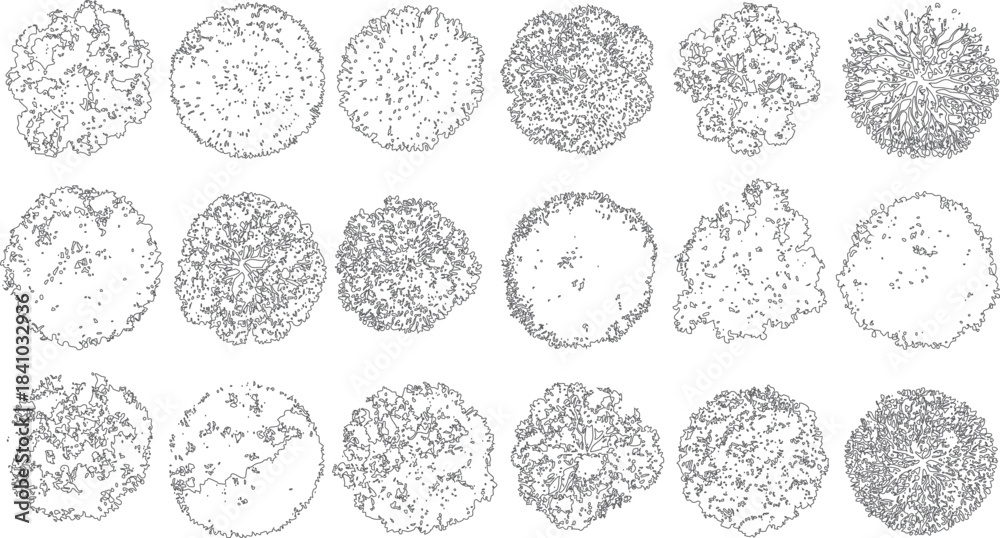 Naklejka premium Collection of fifteen diverse black and white line drawings of lichen and moss textures viewed from above