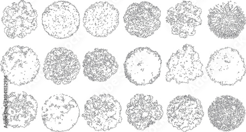 Collection of fifteen diverse black and white line drawings of lichen and moss textures viewed from above