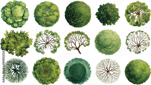 Collection of fifteen diverse green trees viewed from directly above in a top down perspective with watercolor style rendering