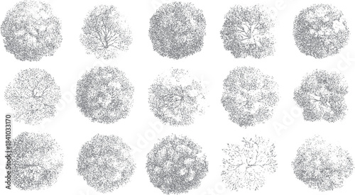 Fifteen top down view stylized grey trees with detailed branch structures and textured foliage on a white background