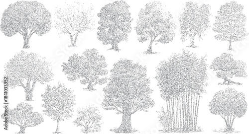 Collection of diverse grey stippled trees and bamboo grove on white background nature forest