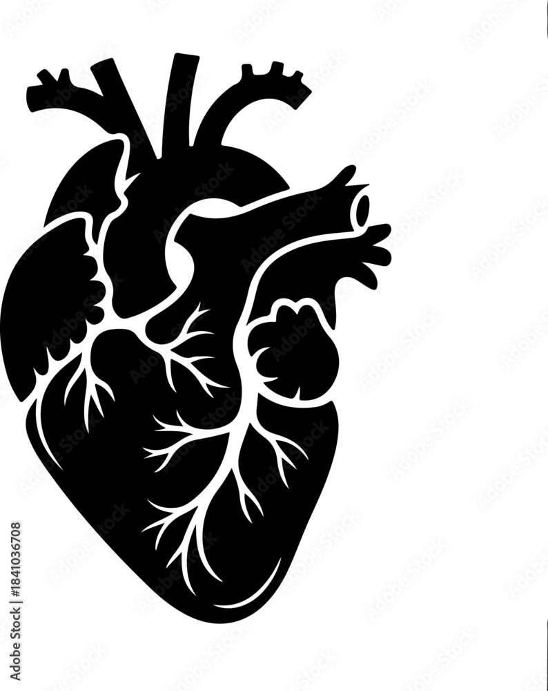 Obraz premium Vintage Human Heart silhouette vector illustration