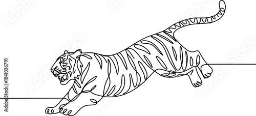 Tiger walking on a line black and white outline