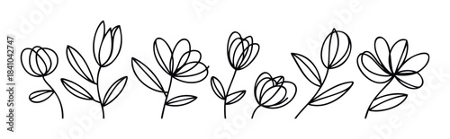 Minimalist line drawing collection of abstract floral shapes and plant stems with leaves, perfect for organic branding and natural decor applications