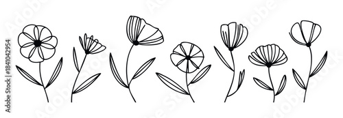 Set of Delicate Hand Drawn Black Line Flowers and Leaves for Botanical Arrangements and Springtime Decor Projects, Perfect for Invitations and Graphic Applications