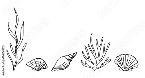 Ocean life icons including seaweed, conch shell, and fan coral for underwater themes and aquatic designs