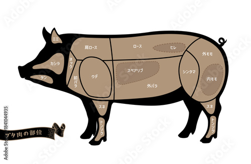 豚のお肉の部位名称　日本語表記