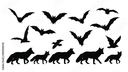 A collection of bats and wolves in dark silhouette