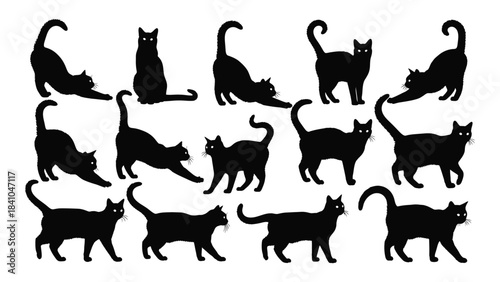 Collection of black cat poses in various dynamic forms silhouette