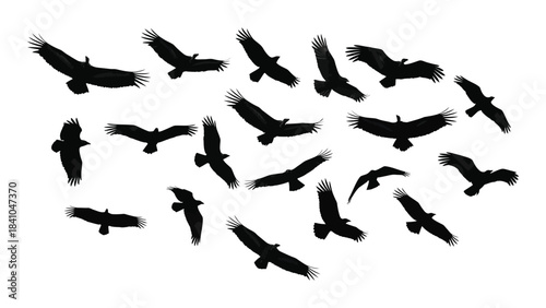 A flock of birds in flight a striking black silhouette