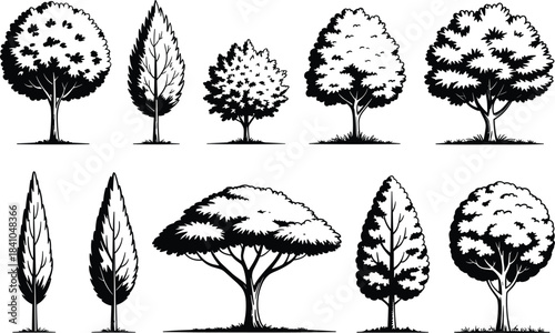 Black and White Silhouettes of Various Trees nature