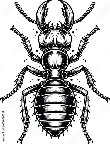 Detailed black and white illustration of an ant insect pest control eps silhouette