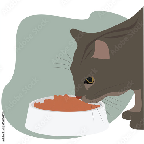 the cat eats its food