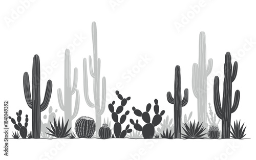 Desert landscape with various cacti and succulents