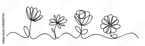 Simple black line art flowers and stems arranged horizontally across a wavy line, perfect for organic, naturethemed, or minimalist branding and graphic projects.