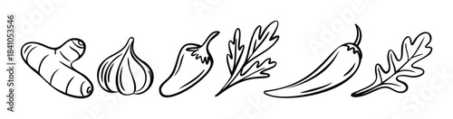 Black and white line art depiction of ginger root, garlic bulb, chili peppers, and leafy herbs symbolizing fresh ingredients for cooking and healthy eating, perfect for food blogs and