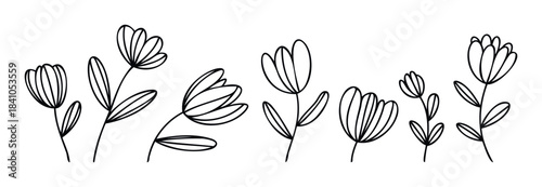 Minimalist outline floral sprigs and blossoms with thin stems and leaves, perfect for elegant graphic accents in branding and stationery projects
