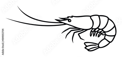 Simple outline graphic of a prawn or shrimp with long antennae and segmented body, perfect for seafood menus or oceanthemed projects