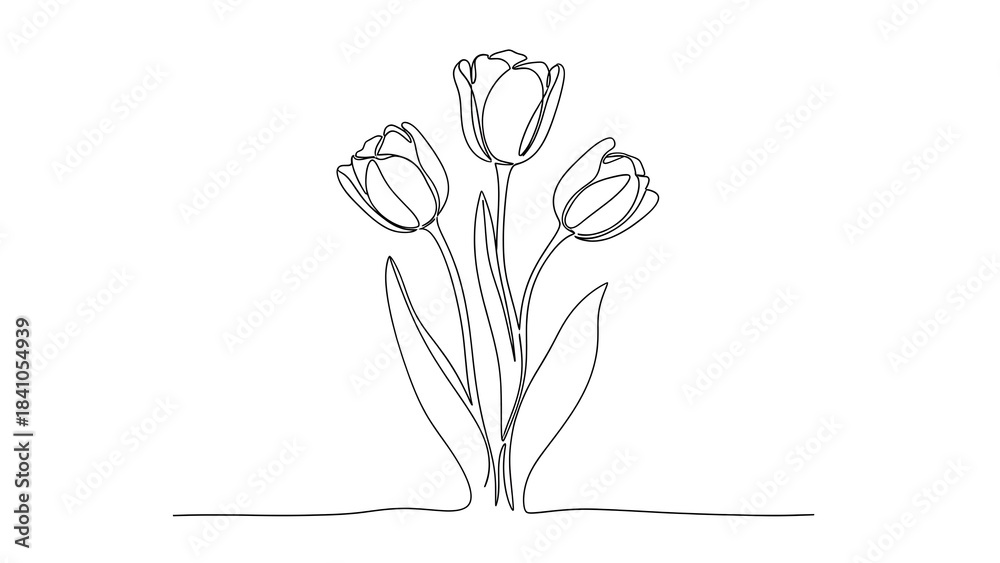 Obraz premium vector illustration of a rose, Three tulips on stems in continuous one line art style. Flower bouquet sketch with editable black stroke on white background. Vector illustration