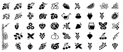 Diverse collection of vector fruit icons featuring cherries grapes berries and more