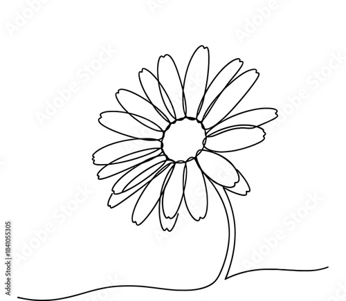 Simple Line Drawing of a Daisy Flower on Transparent Background
