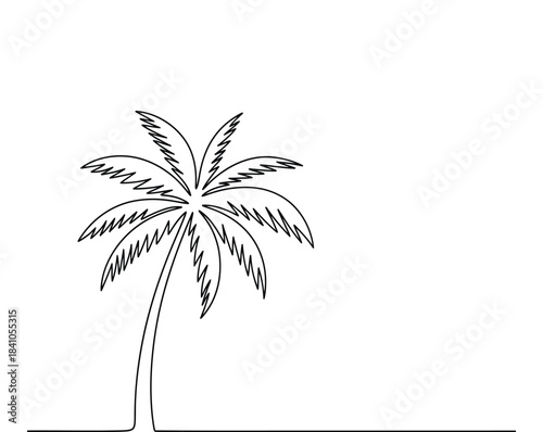 Simple Line Drawing of a Palm Tree on a White Background