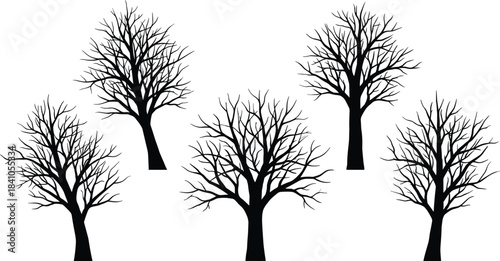 Leafless winter tree silhouettes illustration, barren branches artwork for nature design, seasonal landscape elements representing autumn and winter forest scenery