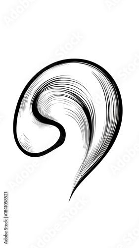 Black and white detailed engraving style human ear illustration with curved lines and minimalist outline vector drawing design art