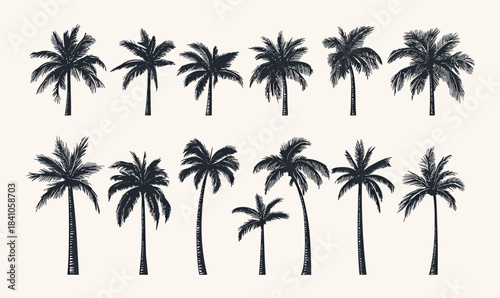 Hand drawn detailed coconut palm tree vector illustrations set with varied leaf and trunk shapes in minimalist black silhouette style on white background