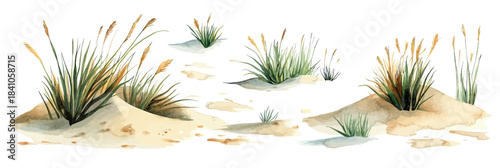 Watercolor illustration of coastal sand dunes with sea grass and beach plants isolated on white background in minimalist style
