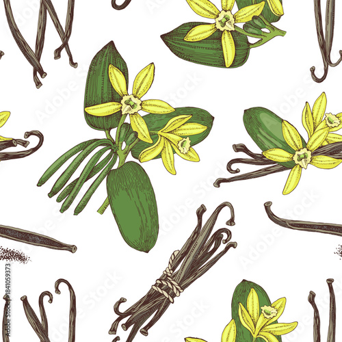 Vanilla hand drawn seamless pattern