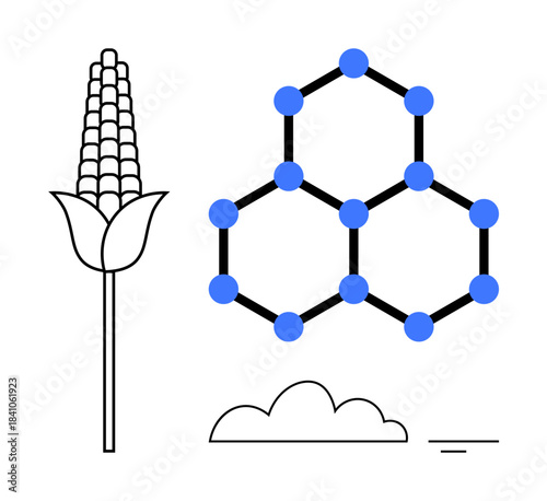 Biotechnology concept. Biotechnology explored through corn plant and molecular structure to agricultural advancements. Biotechnology unlocking genetic innovation and sustainability. For agritech