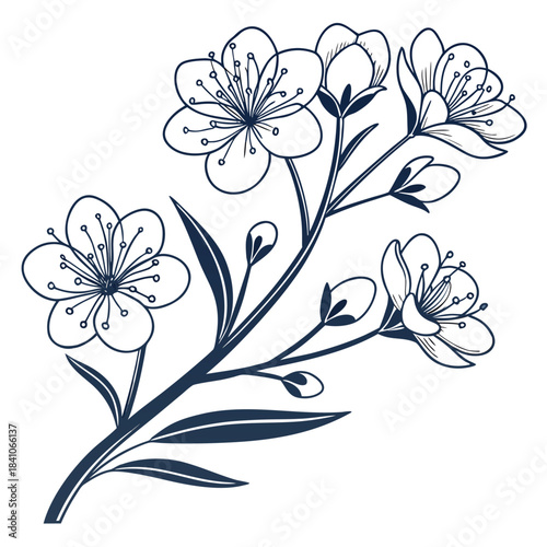 babys breath vector