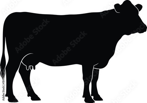 Black cow silhouette vector illustration farm animal dairy cattle art eps