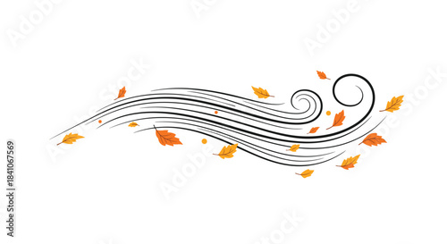 An elegant abstract depiction of a gust of autumn wind with flowing black lines and swirling orange and yellow leaves.
