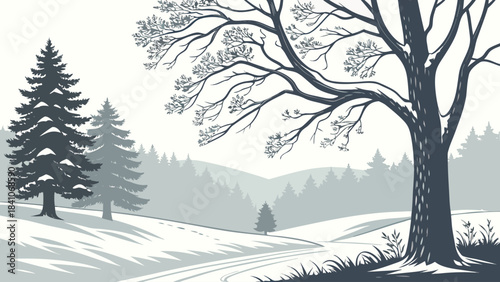 Winter landscape illustration with snow covered trees and a winding path through a forest scene view