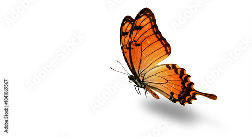 Papillon orange vibrant majestueusement isol� sur fond blanc �clatant avec ombre douce cr�ant un vol l�ger. AI Generated