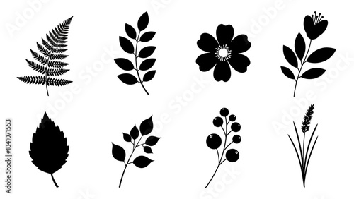 Black and white plant silhouettes decorative floral and botanical elements