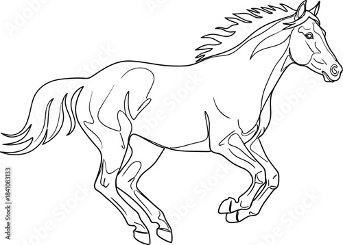Elegant horse illustration running freely with flowing mane on a white background