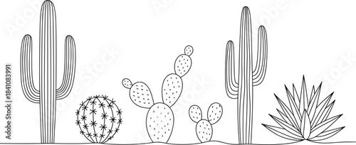 Line of Various Cacti and Succulents in a Desert Setting