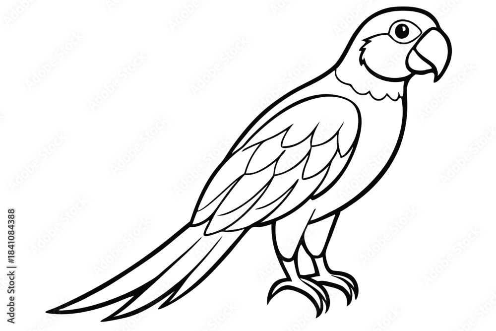 Fototapeta premium macaw silhouette line art vector illustration with a white background