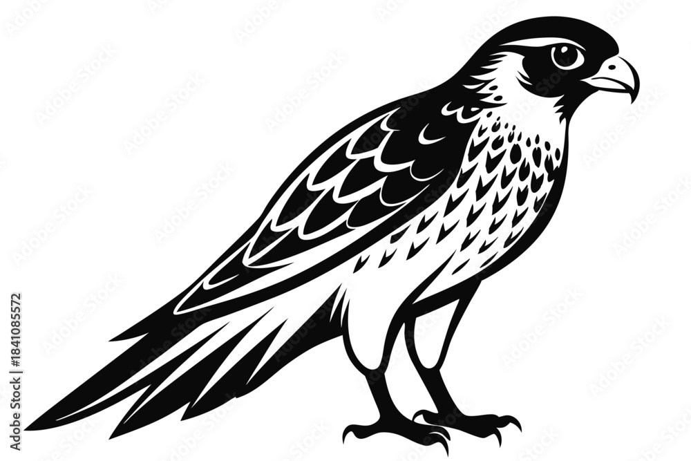 Fototapeta premium kestrel silhouette line art vector illustration with a white background